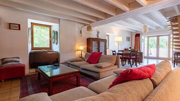 TV, fireplace, books