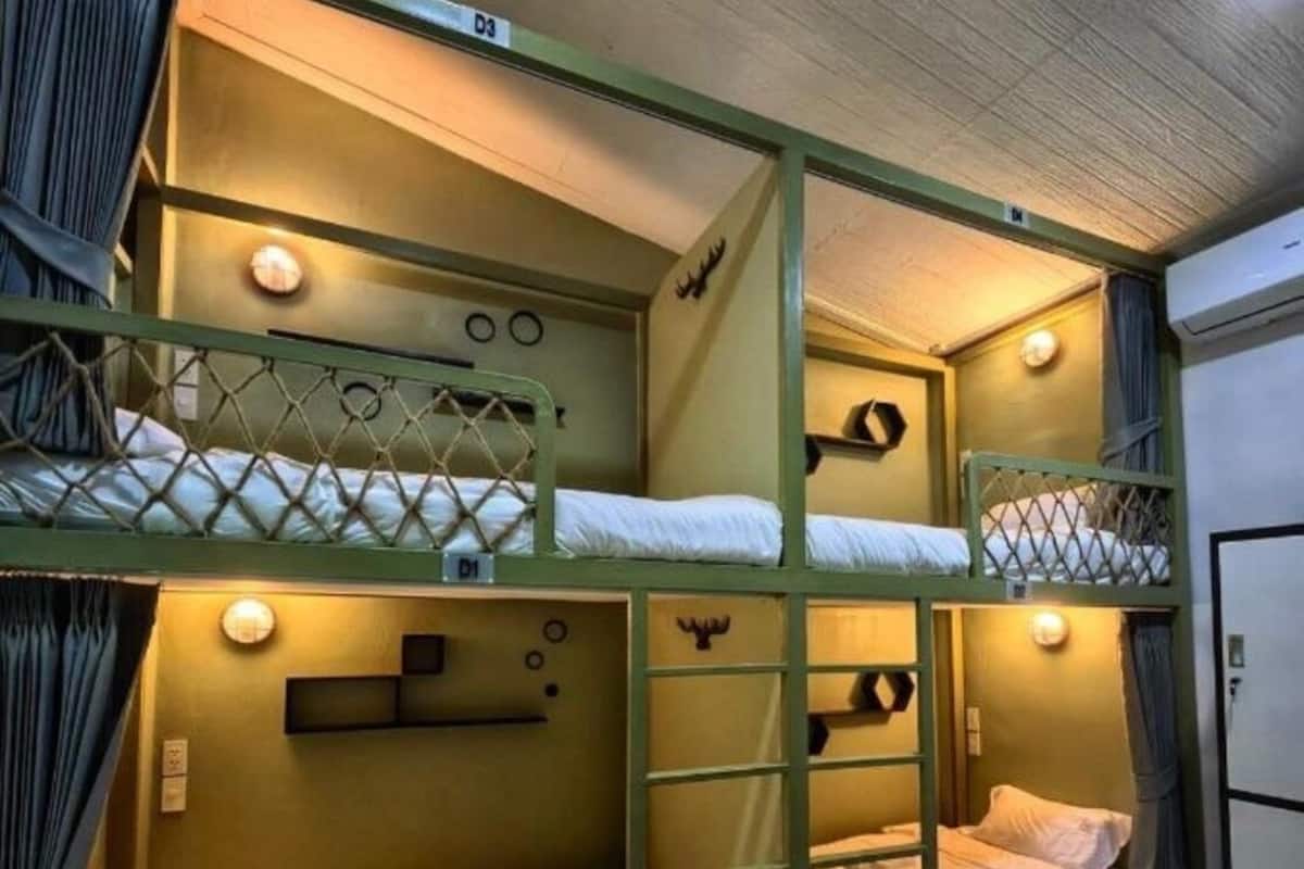 Basic Bunk (Shared 4 Dorm) | Arbetsyta för laptop och gratis wi-fi