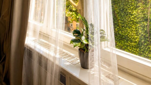 Ein Fenster mit durchsichtigen Vorhängen, einem Topfpflanzen und Blick auf ein mit Efeu bewachsenes Gebäude.