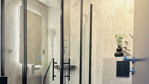 Un baño moderno con ducha de mampara de vidrio, un lavabo negro y una planta pequeña en la pared.