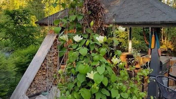 Chalet, 1 makuuhuone, esteetön, tupakointi sallittu | Puutarha