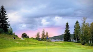 A golf course with a flagstick, trees, and a body of water in the background. - Riverfront Cottageee (Äänekoski)