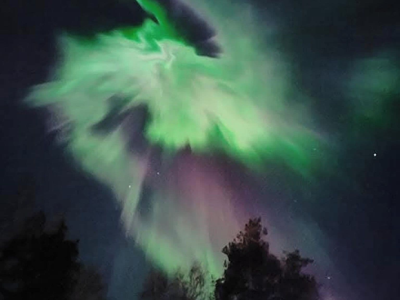 Cielo nocturno con una exhibición de aurora verde.