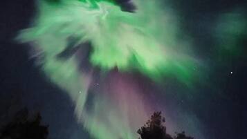 Cielo nocturno con una exhibición de aurora verde.