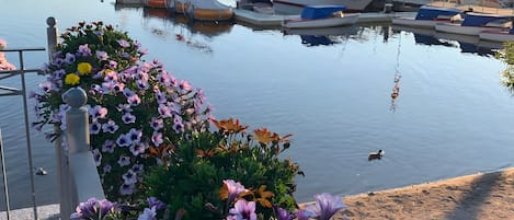 Port de plaisance