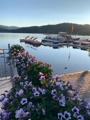 Un puerto deportivo con barcos amarrados, un lago tranquilo y un parterre con flores moradas.