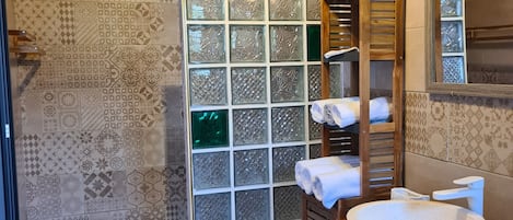 Shower, hair dryer, bidet, towels