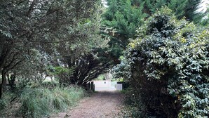 A gravel path leading through a wooded area with dense foliage and a small structure in the distance. - House for rent in Oléron (La Rémigeasse) 100 m from the beach (6 people) (Dolus-d'Oléron)