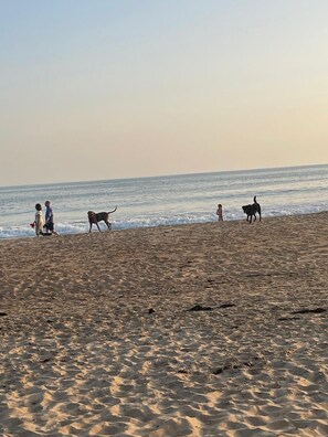 Praia