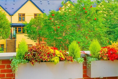 Slavia !!!