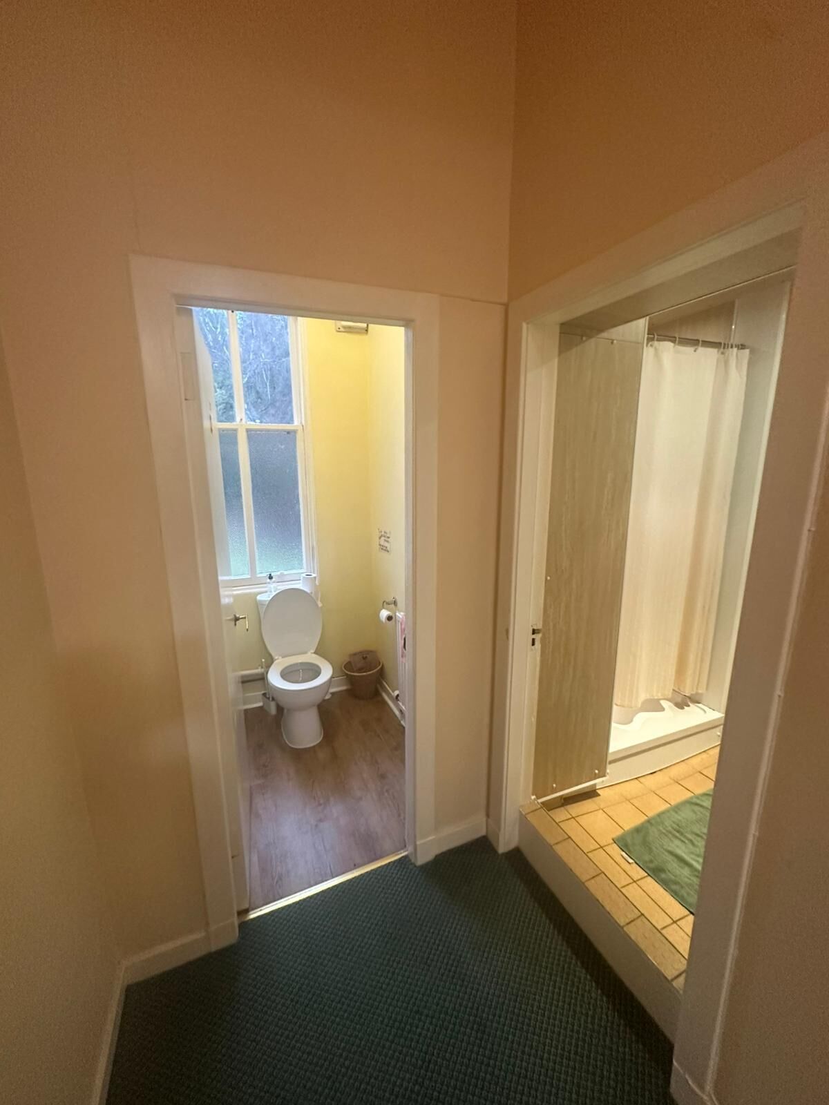 Un pasillo estrecho que conduce a un baño con inodoro, lavamanos y zona de ducha.