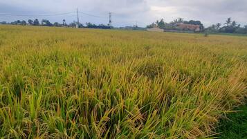 Deluxe Double Room, Garden View | Desk, free WiFi