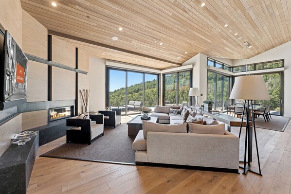 Smart TV, fireplace, video games, books