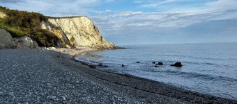 Tranquil Japandi lodge in stunning award-winning coastal gardens