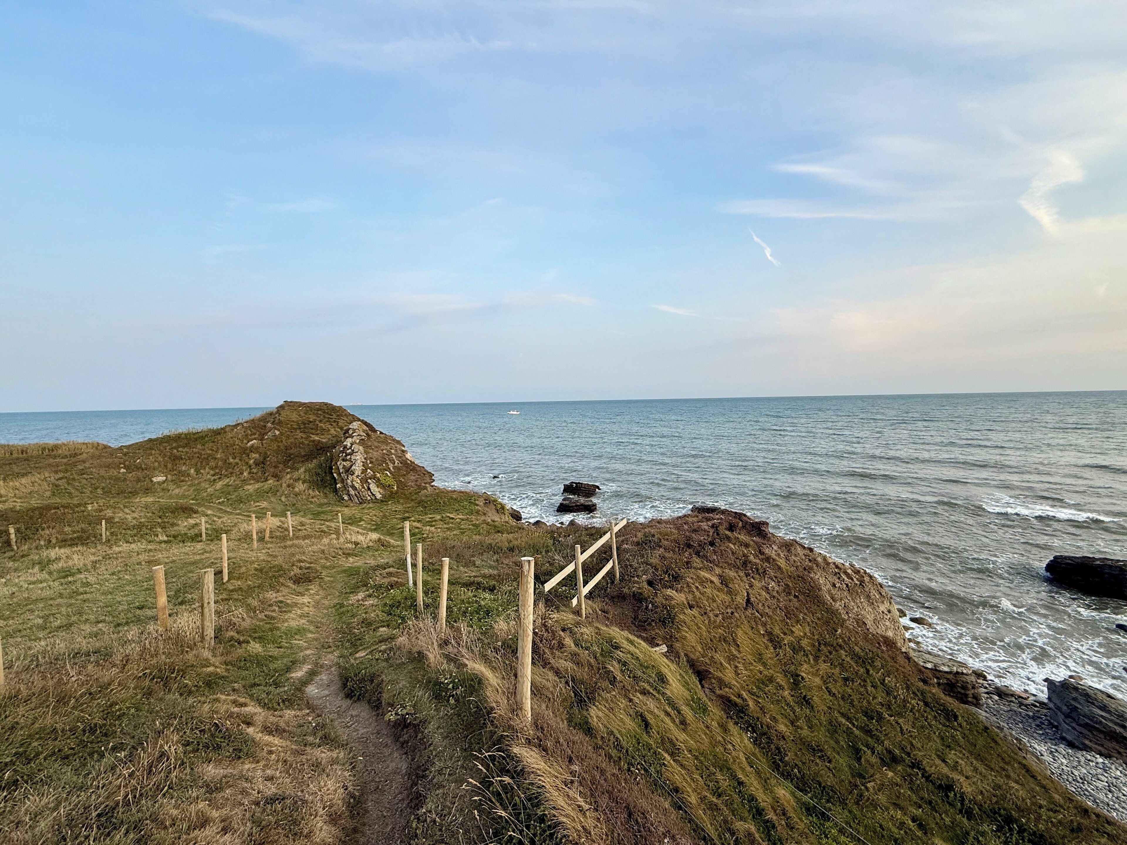 A coastal landscape with a grassy path leading to a rocky outcrop by the sea.