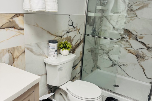 Secadora de cabello, toallas, jabón, papel de baño