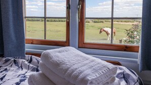 Een uitzicht op een paard in een veld.