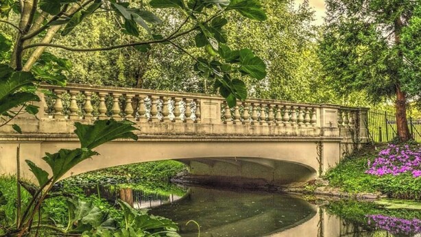 A stone bridge over a calm water body, surrounded by lush greenery and flowering plants. - Family-sized Comfort - Walk to Lake & City Centre (Cardiff)