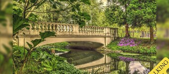 Family-sized Comfort - Walk to Lake & City Centre