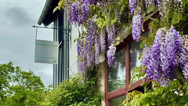 A building with hanging purple flowers, a sign indicating a holiday apartment, and lush greenery around the entrance.