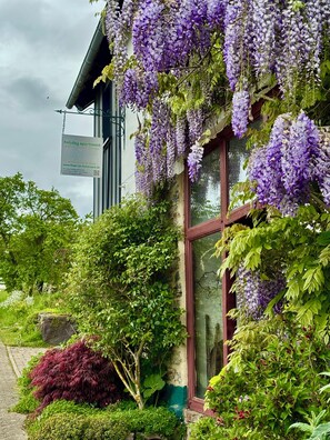 Exterior detail - Beautiful large vacation apartment with private terrace in the Hunsrück. 70 sqm (Norath)
