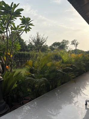 Garden - The Greenwood Farm And Lawn -Bijwasan (Gurugram)