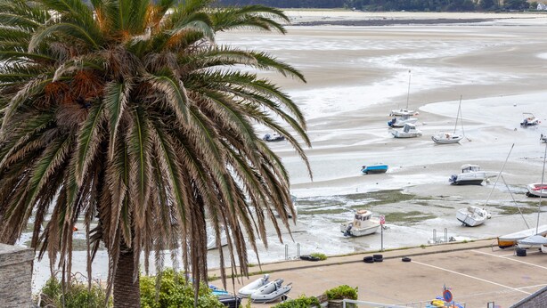 A coastal view with boats, a palm tree, and a parking area. - Charming Apartment in Locquirec with Sea View (Locquirec)