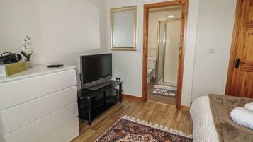 A bedroom with a TV, a wooden door, a mirror, and a patterned rug.