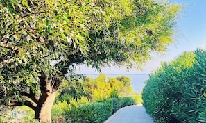 Property grounds - Beachside 5-Bed Villa with Private Pool (Neo Chorio)
