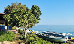 Property grounds - Beachside 5-Bed Villa with Private Pool (Neo Chorio)