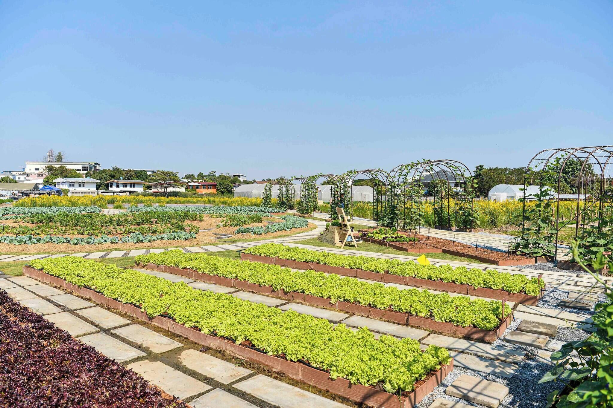 Condo, 1 Bedroom, Accessible, Private Pool | Garden