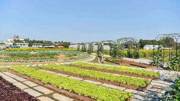 Condo, 1 Bedroom, Accessible, Private Pool | Garden