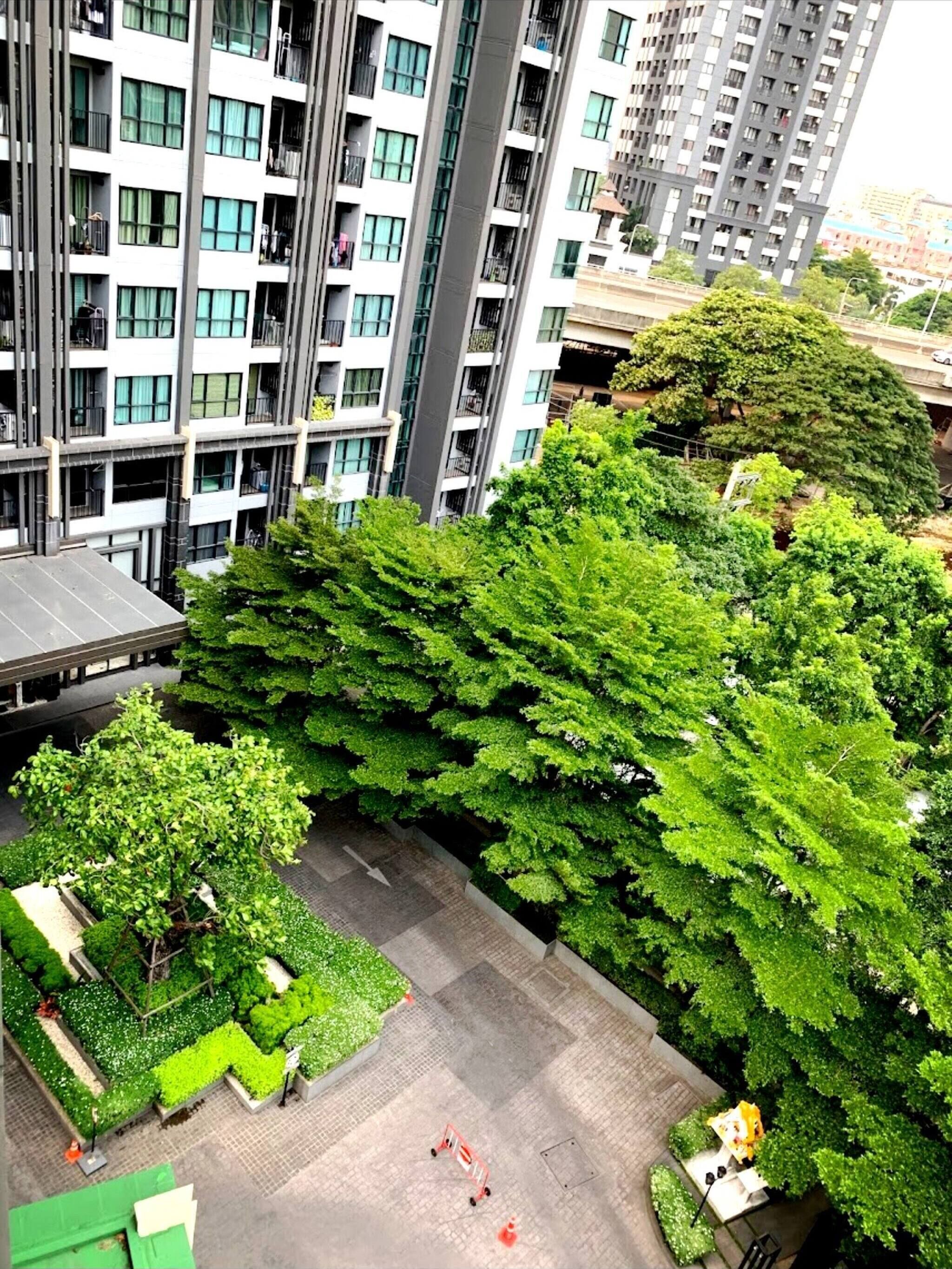 คอนโด, 1 ห้องนอน, พร้อมสิ่งอำนวยความสะดวกสำหรับผู้พิการ, สระว่ายน้ำส่วนตัว | สวน