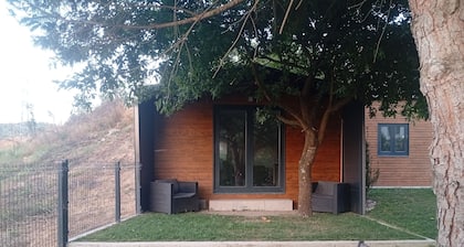 PINE TREE REFUGE