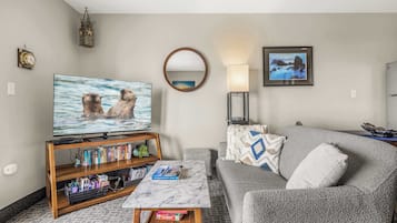 Télévision, lecteur de DVD, espaces bureaux