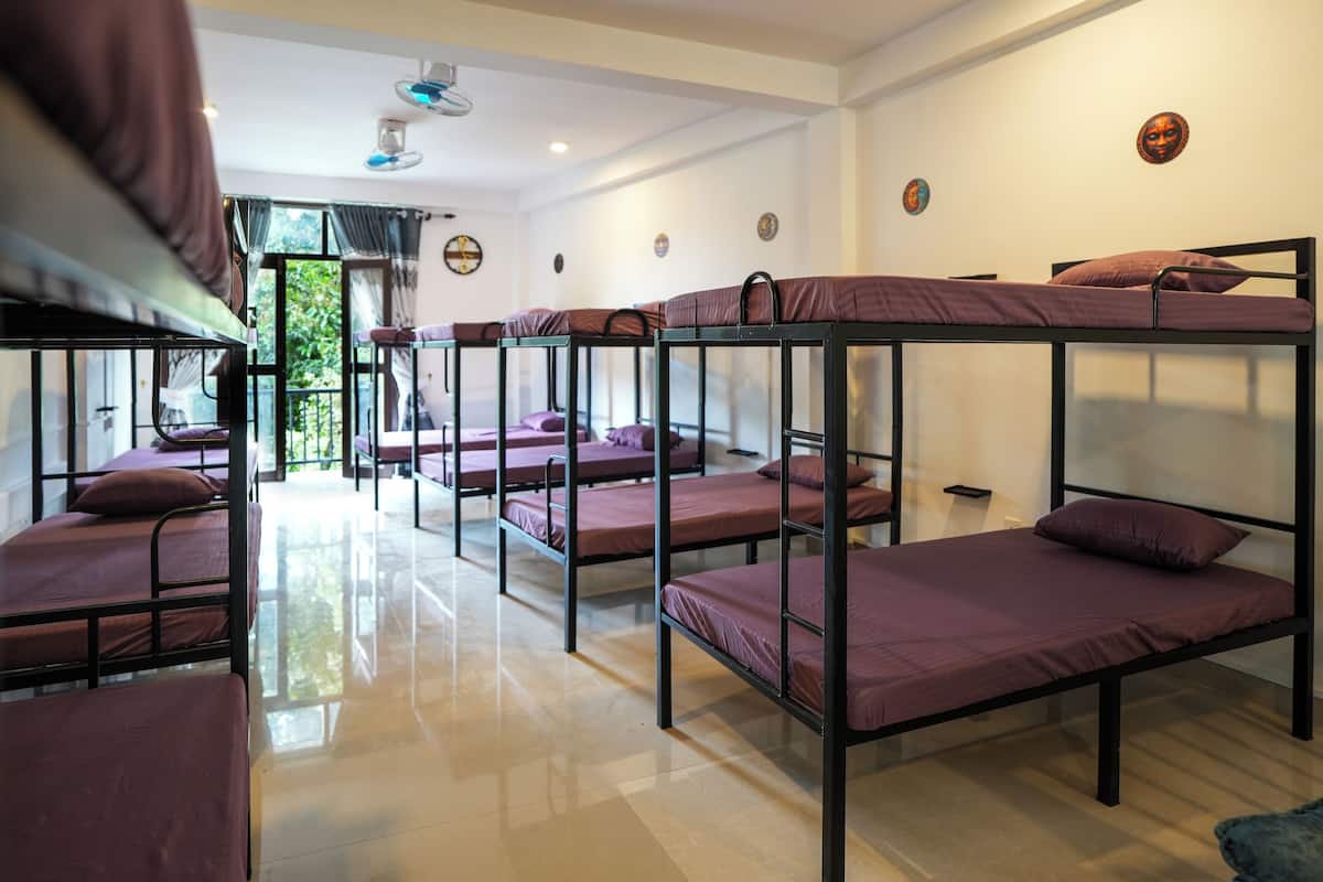 Comfort Shared Dormitory, Balcony, Garden View | Iron/ironing board