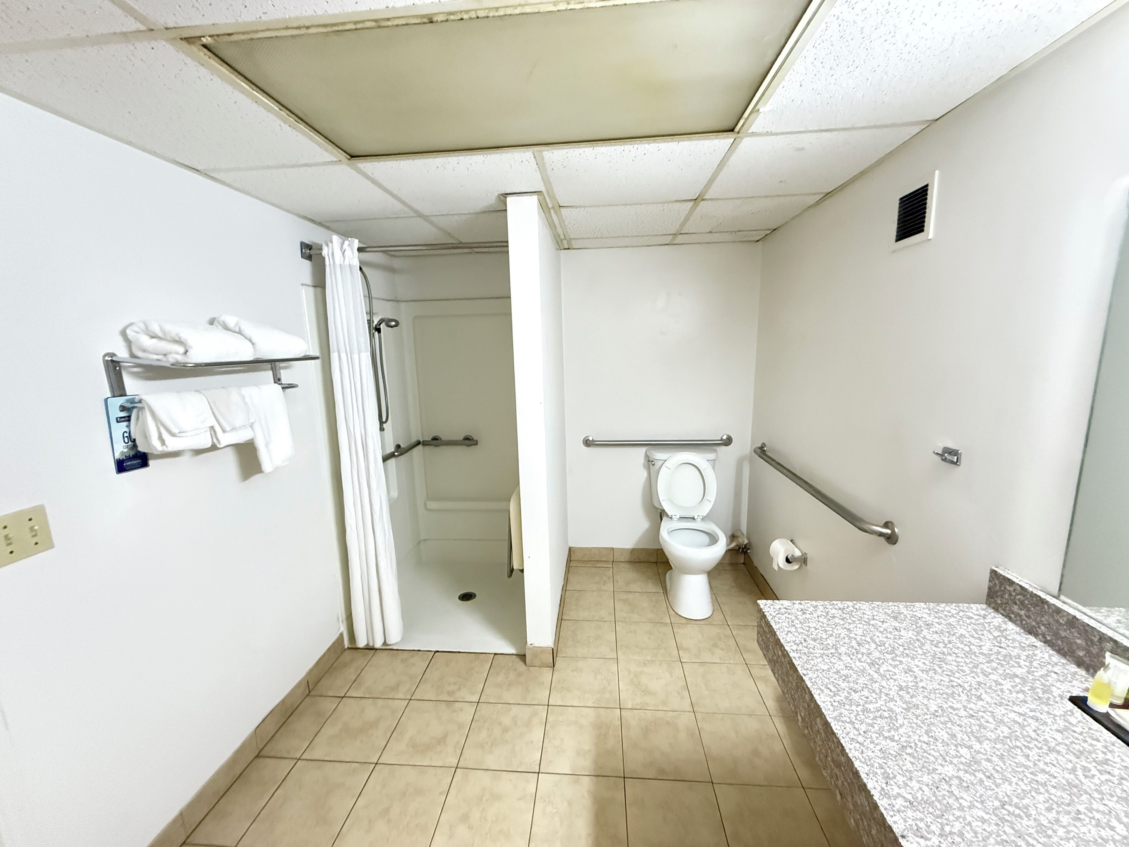 A bathroom with a toilet, a shower, and a sink.