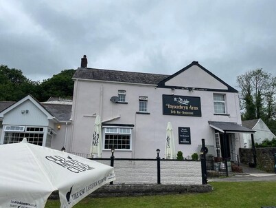 Ynyscedwyn Arms