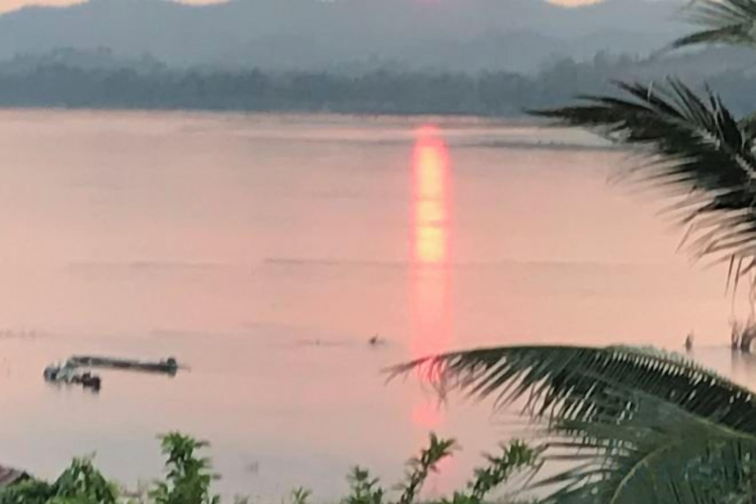 A calm body of water with a distant light source, possibly a boat, and a palm tree in the foreground.