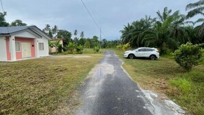 Eine asphaltierte Straße führt zu einem weißen Auto, das am Straßenrand geparkt ist, mit einem kleinen Gebäude links und Palmen im Hintergrund.