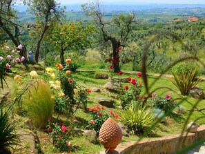 Property grounds - Casa Leonardo Flat – Vacation Home with Pool in Vinci, Near Florence (Vinci)