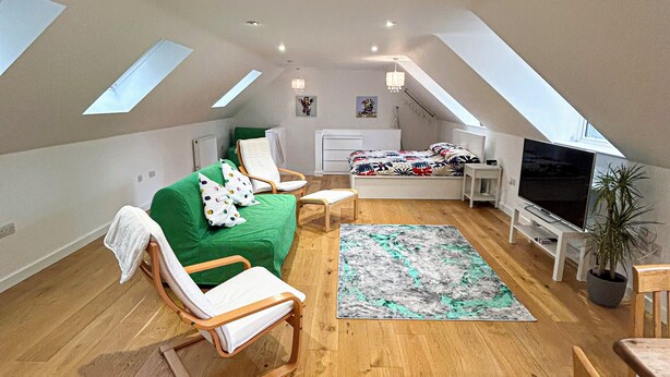 A spacious attic bedroom with a loft bed, a TV, a desk, and a potted plant. - Modern Studio in Chandlers Ford (Chandler's Ford)