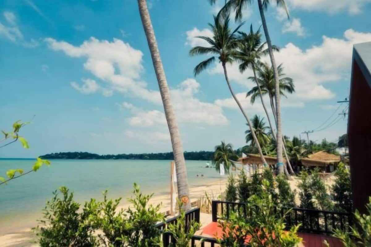 A beach view with palm trees, a clear sky, and a distant shoreline.