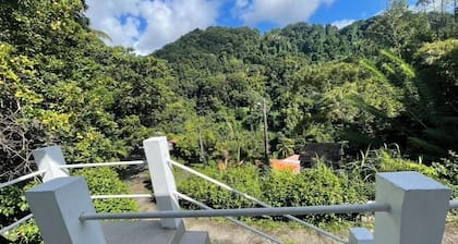 Villa nature tropicale, route de la Fontaine Didier