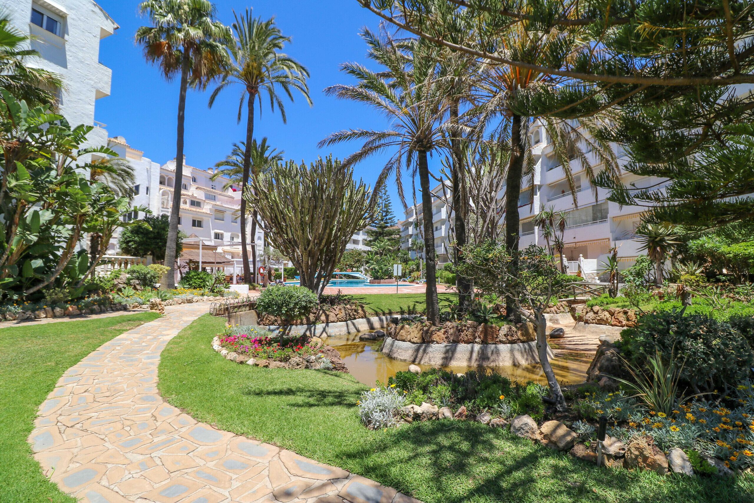 A landscaped garden with a stone pathway, palm trees, and a small pond.