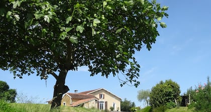 Renovated gîte for rent