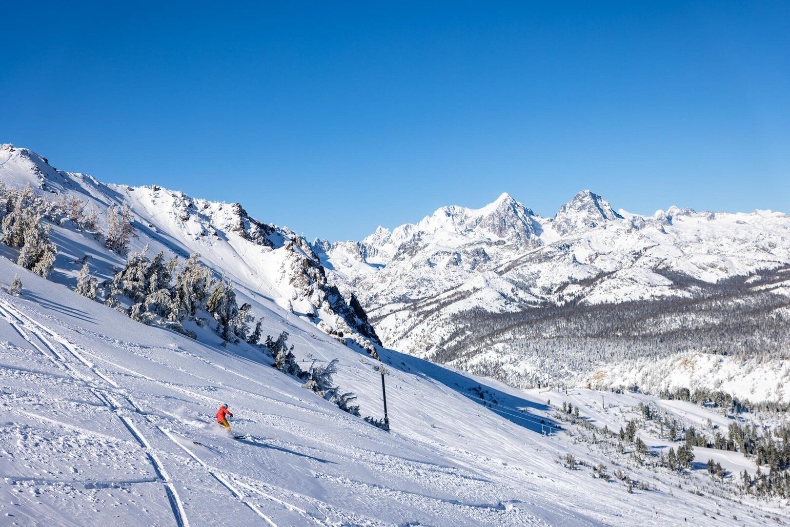 Sneeuw- en skisporten