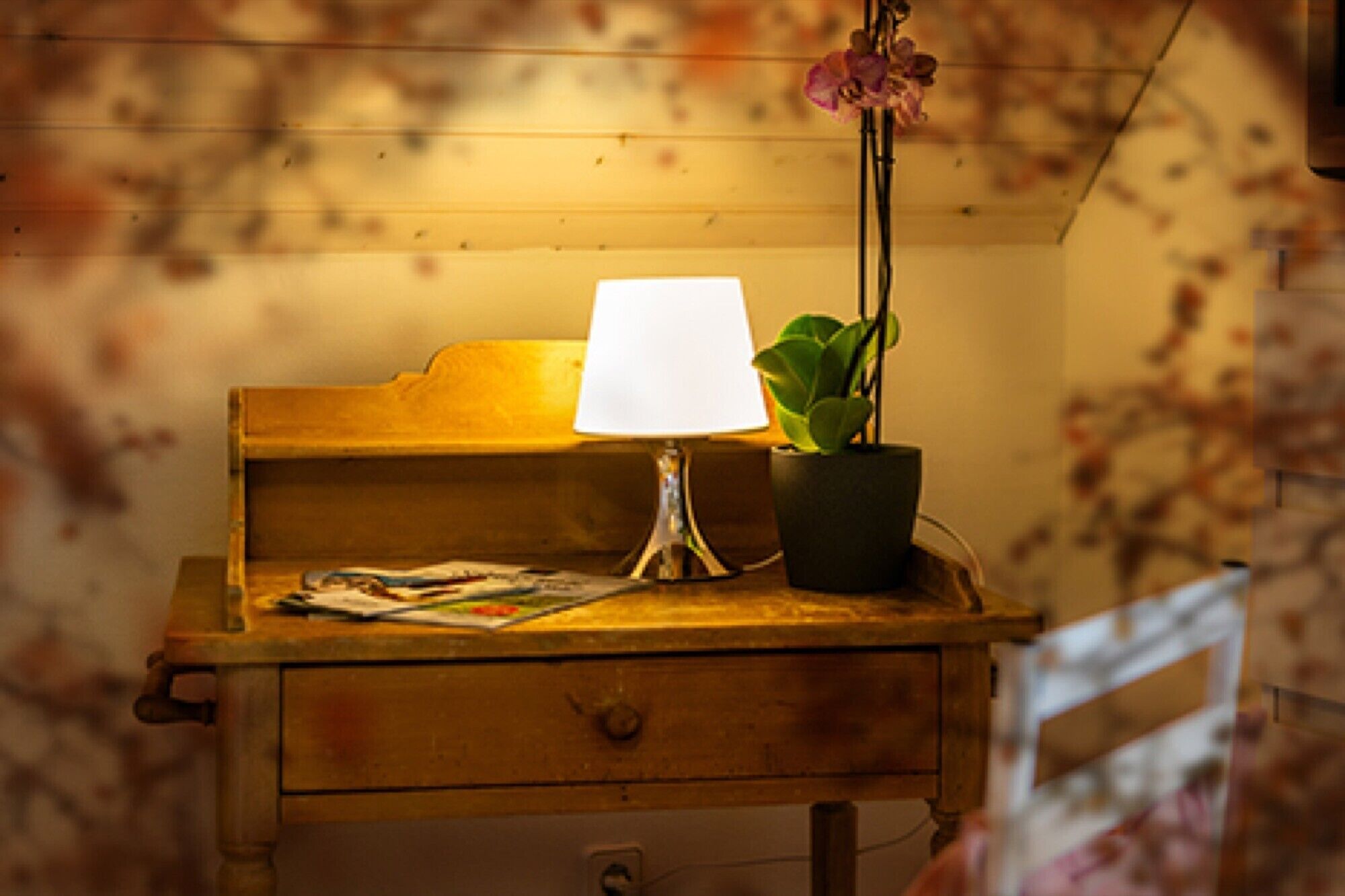 A wooden desk with a lamp, a potted plant, and a magazine.