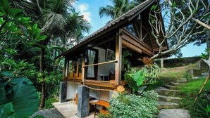 Een houten chalet met een balkon, omringd door weelderige begroeiing en een stenen trap.