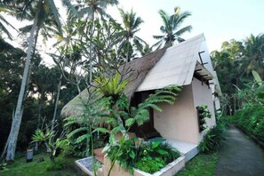A house with a sloped roof, surrounded by lush greenery and palm trees.